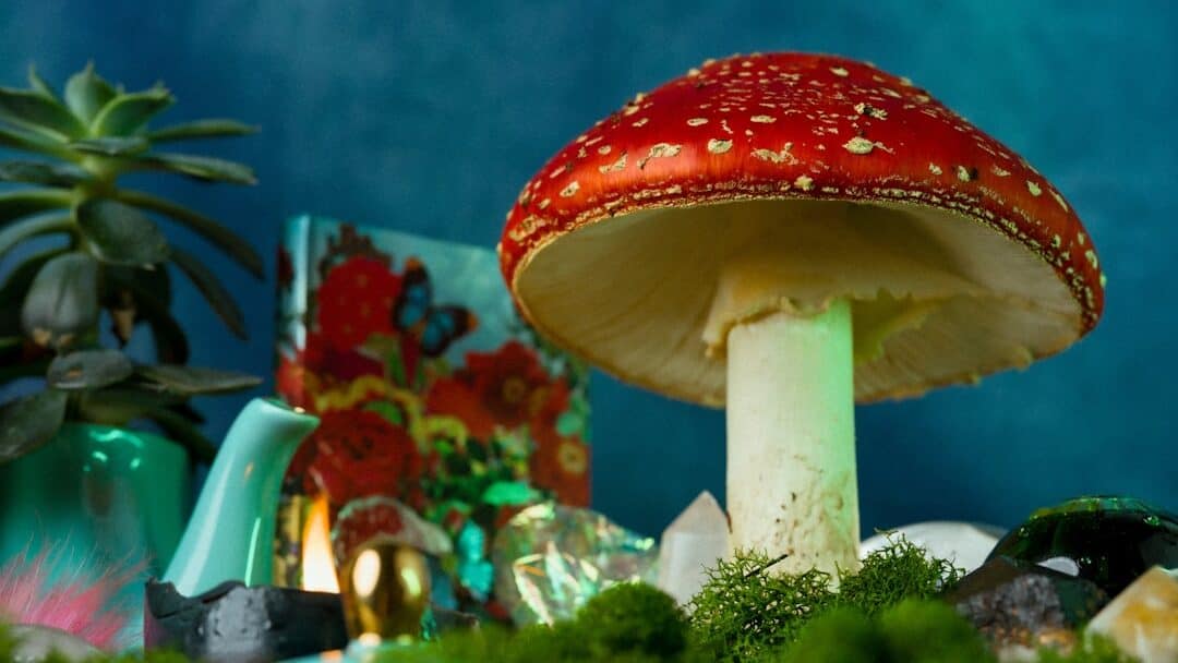 utopia vida slow, blog slow living portugal