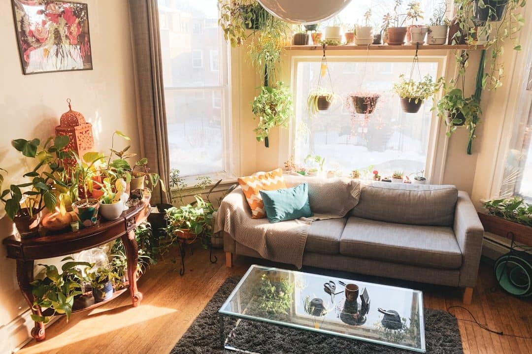 Casa decorada com muitas plantas, com muita luz natural e arquitetura biofílica.